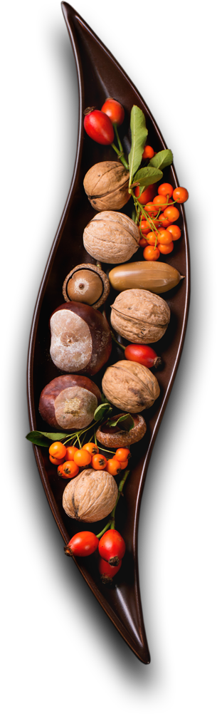 Shahi Caterers - Best Catering Services in London UK