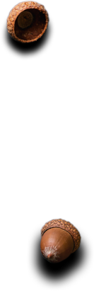 Shahi Caterers - Best Catering Services in London UK